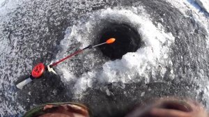 Рыбалка на леща зимой2025.Ловля на шарик.Рыбалка в Астра