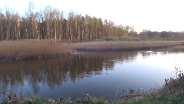 Ловля на фидер в апреле. Зачётная плотва смотреть онлайн