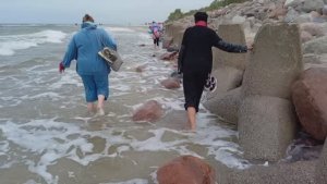 Долгая дорога в дюнах - песочная терапия