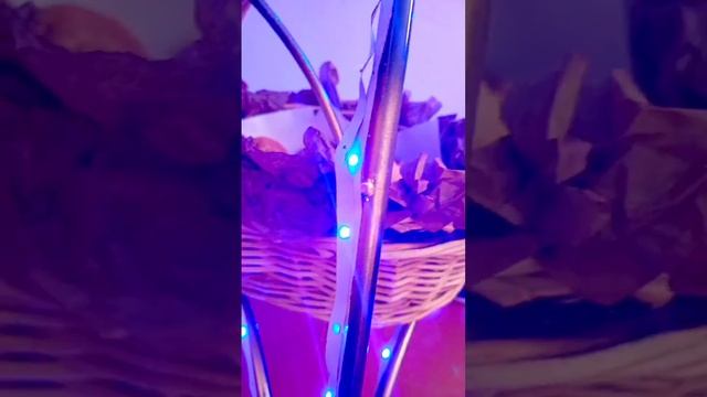 светодиодная лента под звук смотреть онлайн