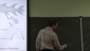 Зоология позвоночных. Происхождение позвоночных. Шахпоронов В. В. edit