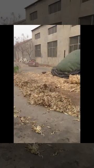 Ворошилки в работе смотреть онлайн