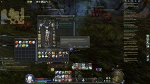 AION Gameplay Страж