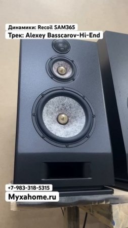 Recoil SAM365 #акустика #акустическаясистема #топ #домашнийкинотеатр #music #колонка #wood