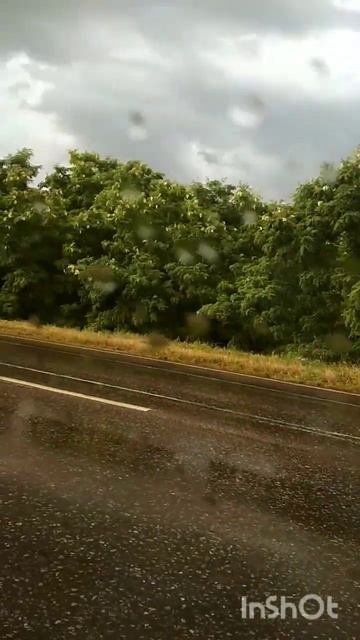 радуга#акация#подсолнух#shorts смотреть онлайн