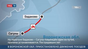 В Воронежской обл. приостановлено движение поездов