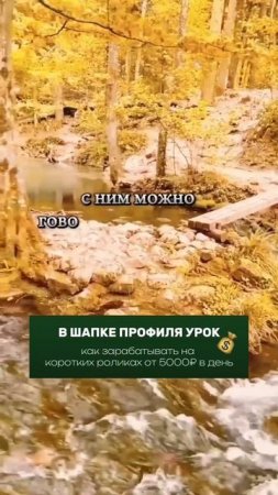 Важные качества лучшего друга.