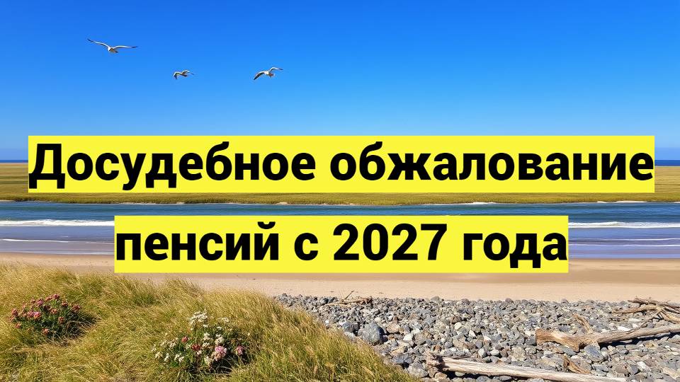 Досудебное обжалование пенсий с 2027 года