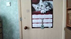 МОЯ КОМНАТА