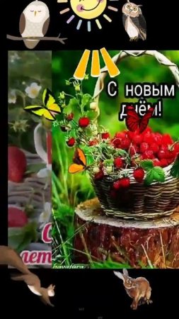 С ДОБРЫМ ЛЕТНИМ УТРОМ