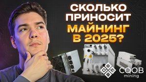 СКОЛЬКО ПРИНОСИТ МАЙНИНГ В 2025 ГОДУ: РЕАЛЬНЫЕ ЦИФРЫ И РАСЧЁТЫ
