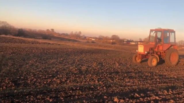 Боронування городів 2025 трактором т-25 смотреть онлайн