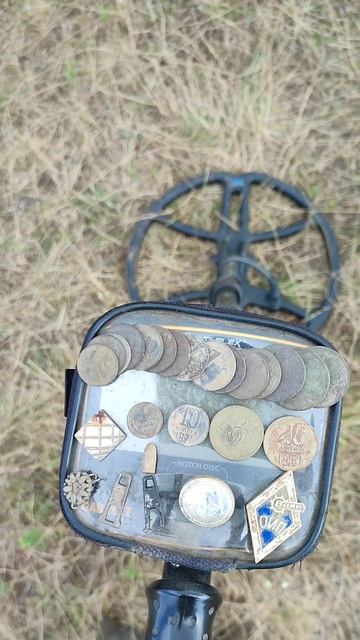 насшибал ходячек на мороженое #metaldetecting #garrettaceapex #garrett_ap смотреть онлайн