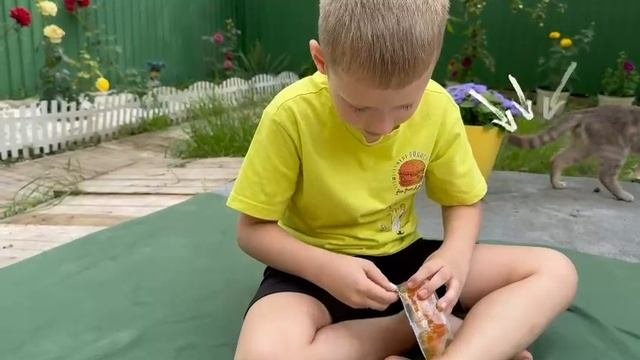 распаковка сороконожки и лягушки