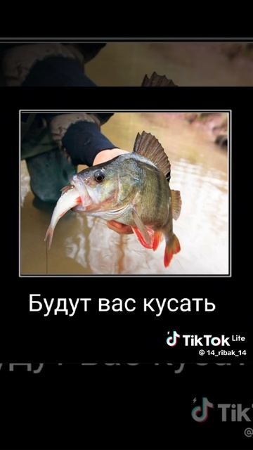 маленькие дети ни за что на свете часть 8 (последняя)