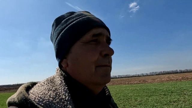 Первая подкормка ячменя  Сорт СОЮЗ  МТЗ 82 1, разбрасыва?
