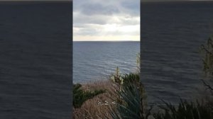 Осенний Геленджик. видео Надежды Деевой