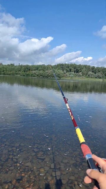 Сразу на два крючка, стаю поймал? #рыбалка #fishing #улов #о? смотреть онлайн