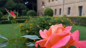 Латте без сахара 🥹(Сателлит