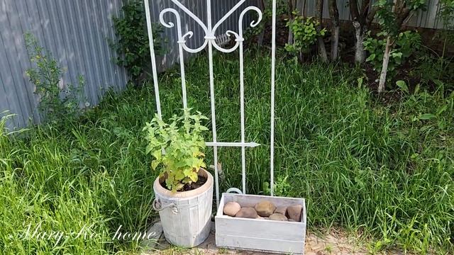 Опора для цветов из старой калитки. Шпалера для вьющих