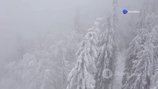 Мистическая ночь в тайге: разорванные палатки | Необъя