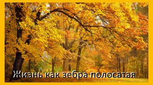 Что приготовить из свинины на ужин быстро и вкусно на сковороде