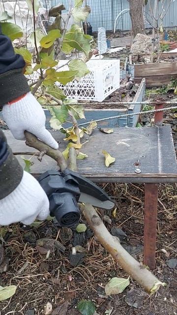 Садовая аккумуляторная пила смотреть онлайн