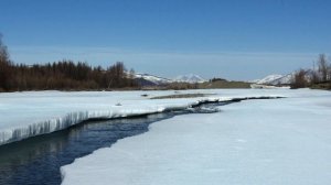 Берега