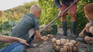 7 Предметов Выживания, которые нужно иметь ДО того, как