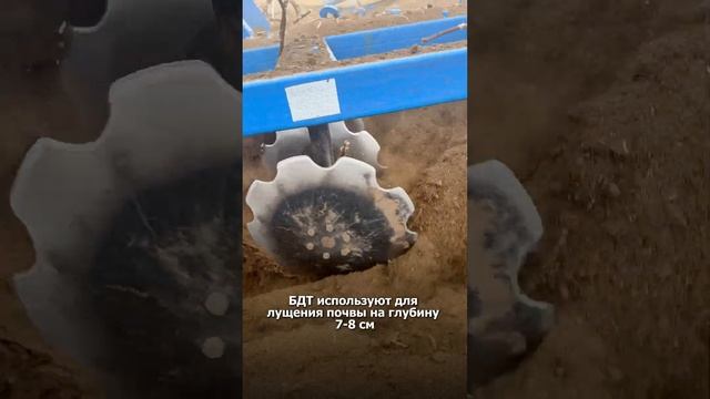 БДТ смотреть онлайн