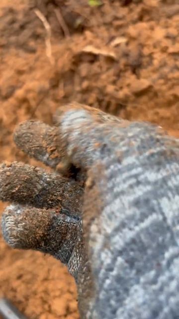 Находка ч.472🔥🔥 #леснойскобарь#2025#металлоискатель#minel смотреть онлайн