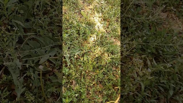 Упаковка к доставке часть 1 июнь 2025