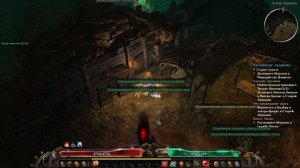 Grim Dawn: Вихрь льда, Холодный Паладин, Вихрь расплаты, ур?
