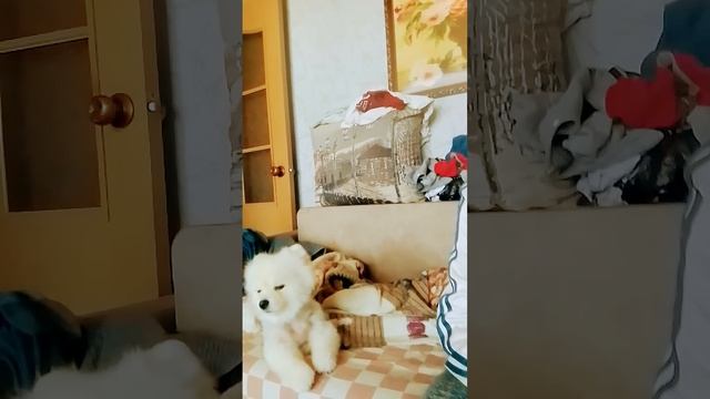 всем доброго времени суток. смотреть онлайн