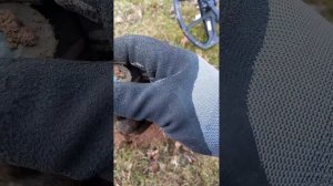 Всё  тестирую Nokta Triple Score