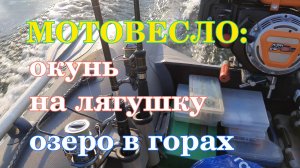 Мотовесло - окунь на лягушку - озеро