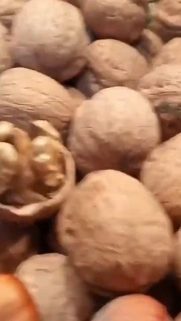 Саженцы фундука с питомника Россия | Small Gardens смотреть онлайн