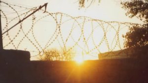 "ТОЛЬКО ГАЛКИ ..." Любовь Пузикова - музыка и монтаж клипа, слова Вадима Делоне, исп. Влад Чурсин