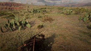 Пустынный мак (desert poppy) Red Dead Redemption 2