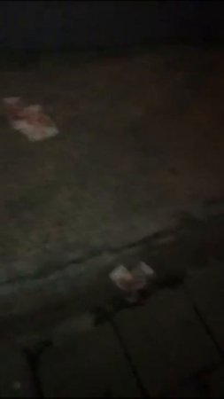 Аттракцион неслыханной щедрости устроили уроженцы Удмуртии в Москве