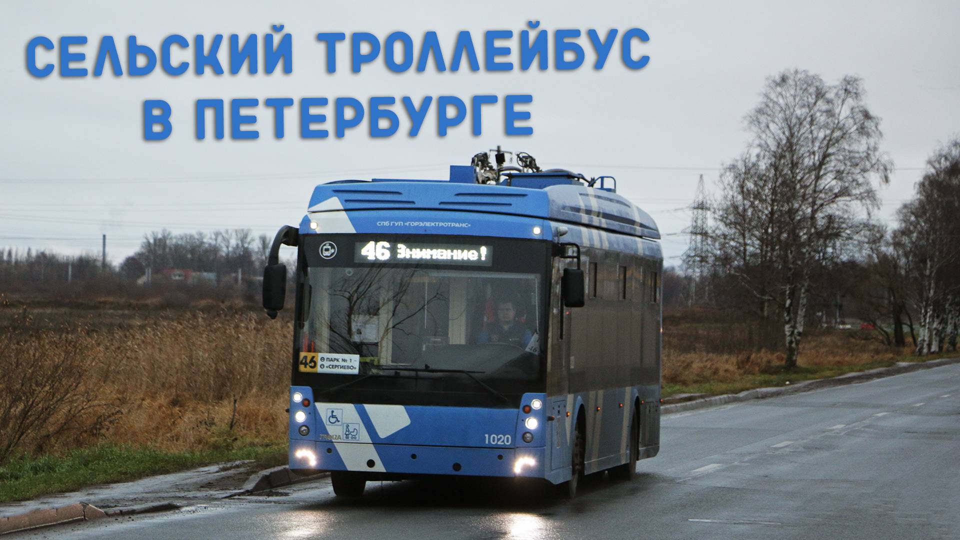 СЕЛЬСКИЙ ТРОЛЛЕЙБУС В ПЕТЕРБУРГЕ смотреть онлайн