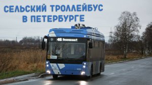 СЕЛЬСКИЙ ТРОЛЛЕЙБУС В ПЕТЕРБУРГЕ