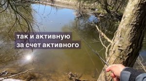 ⚠️ТАКТИКА ЛОВЛИ НА МИКРОДЖИГ НА МАЛЫХ РЕКАХ | Выбор п?