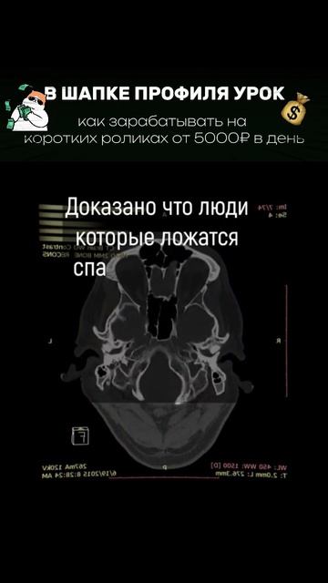 Доказано, что люди