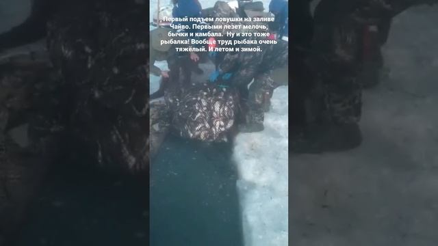 Ну и это тоже.. #рыбалка #сахалин #камбала #корюшка #нава смотреть онлайн