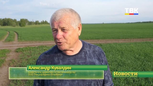 Заходят опрыскиватели в поля Искитимского района