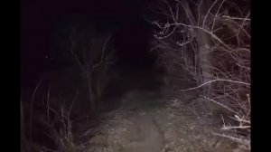 ОН СОШЁЛ С УМА И ХОЧЕТ ВСЁ УНИЧТОЖИТЬ | Pac Man Analog Horror