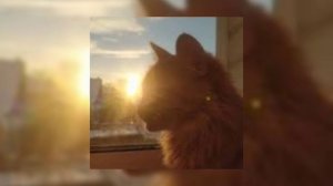 Татьяна Буланова - Ясный мой свет (speed up)