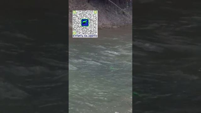 Большой или маленький. Поплавок Высоцкого ПРОНЫРА. PRONY смотреть онлайн