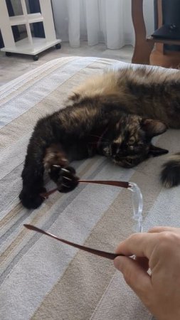 Странные чувства